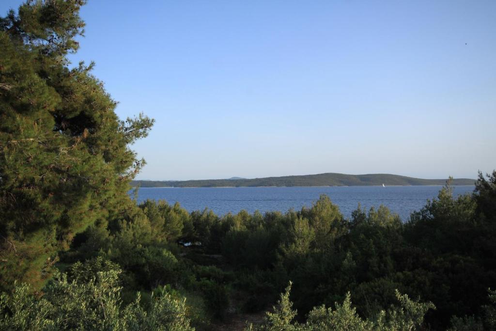 Fotografie z fotogalerie ubytování Apartments by the sea Zavala, Hvar - 8745 v destinaci Jelsa