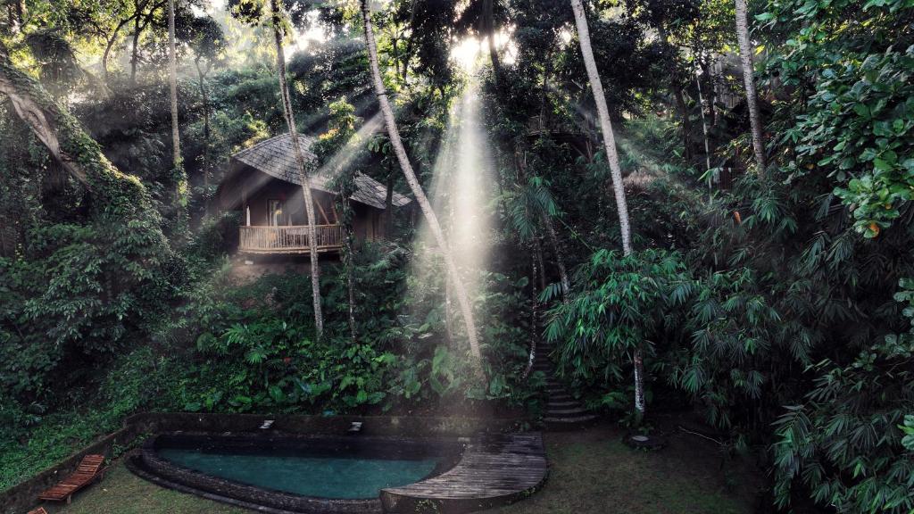 a house in the jungle next to a swimming pool at Bamboo Turtles Ecolodge in Ubud