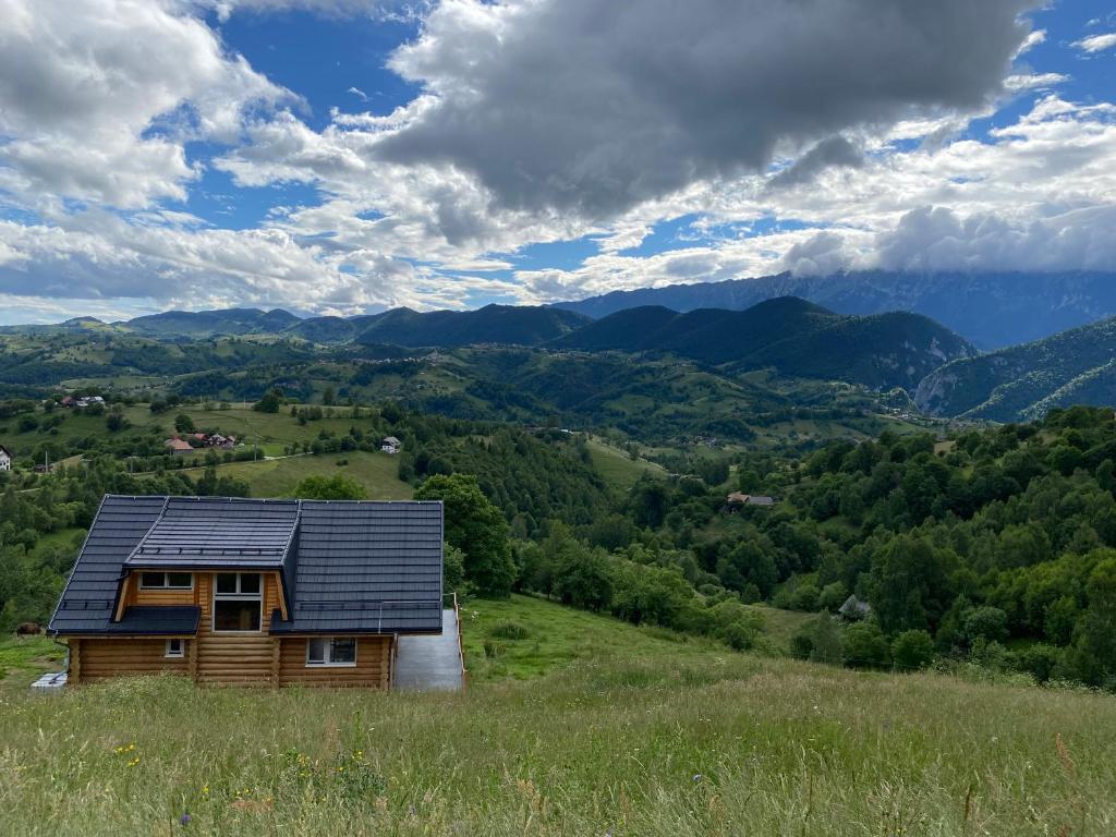 ein Haus mit Sonnenkollektoren auf einem Hügel in der Unterkunft Magura little chalet in Măgura