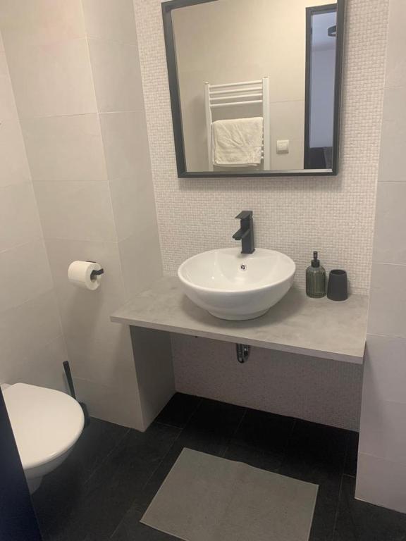 Koupelna v ubytování Apartmány ČERNÝ KOHOUT