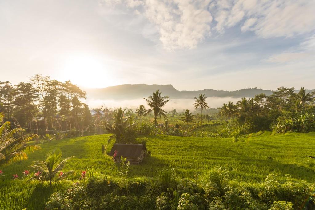 Ume Dukuh Home Sidemen - 15