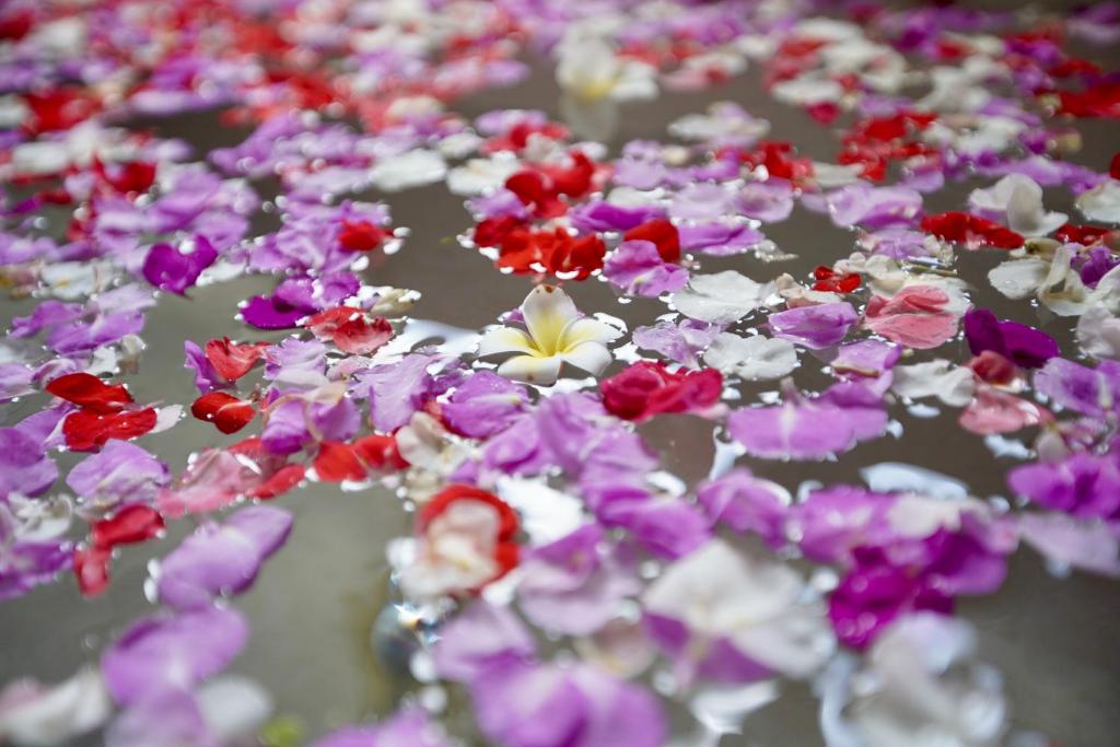 Ume Dukuh Home Sidemen - 17