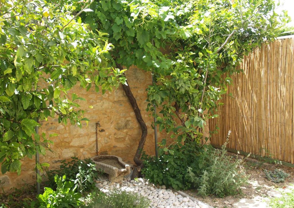 Zahrada ubytování Agapi Holiday House