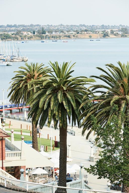 a group of palm trees next to a body of water at Anchor Geelong in Geelong