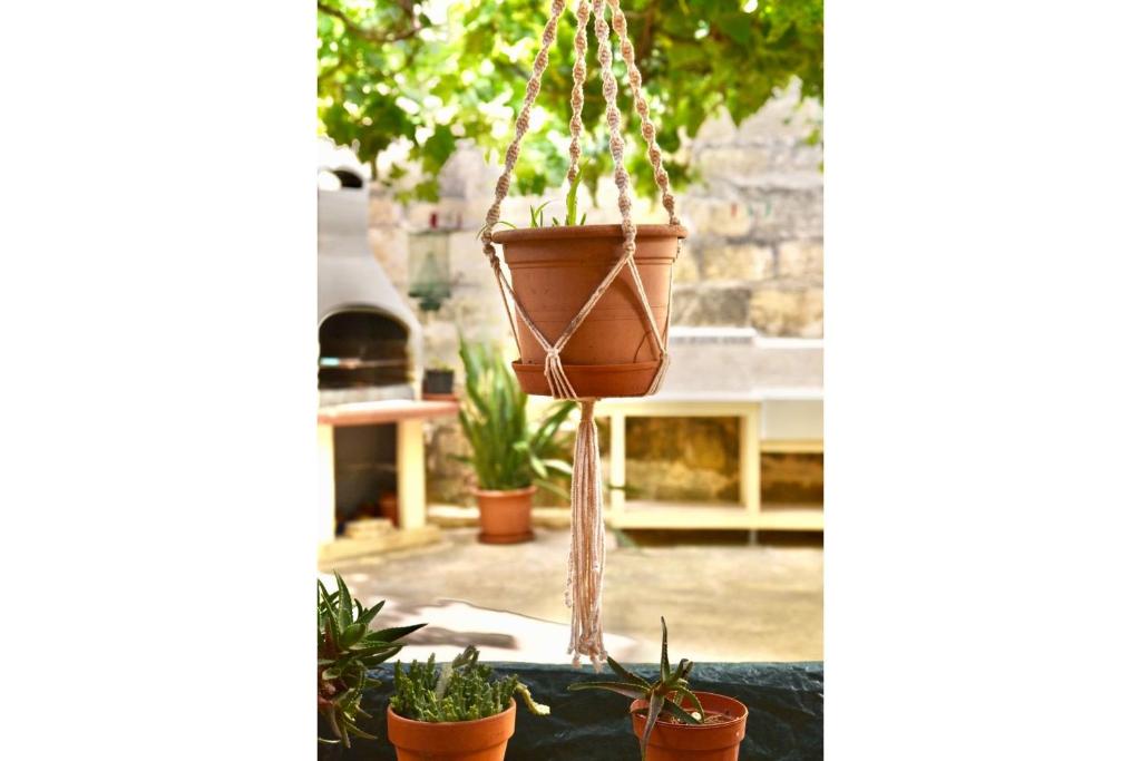 Zahrada ubytování Ta'Martin Farmhouse Xewkija Gozo