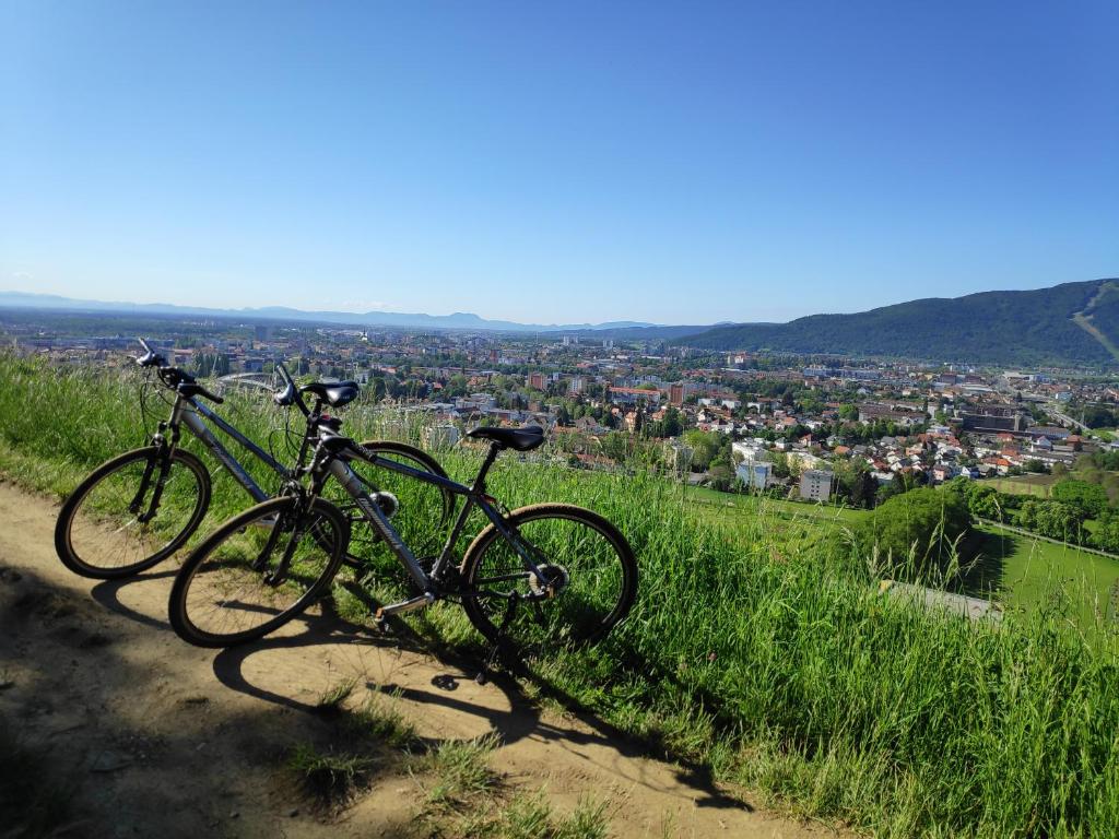 Jízda na kole v ubytování Hotel Bau Maribor nebo okolí