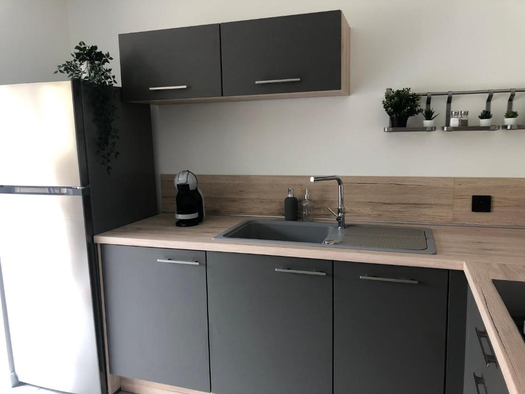 a kitchen with a sink and a refrigerator at Vimachlea in Bourg-Saint-Christophe