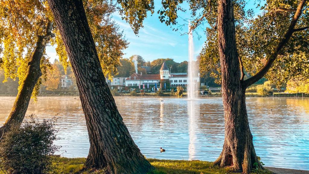 een uitzicht op een meer met bomen en een fontein bij Martin's Château Du Lac in Genval