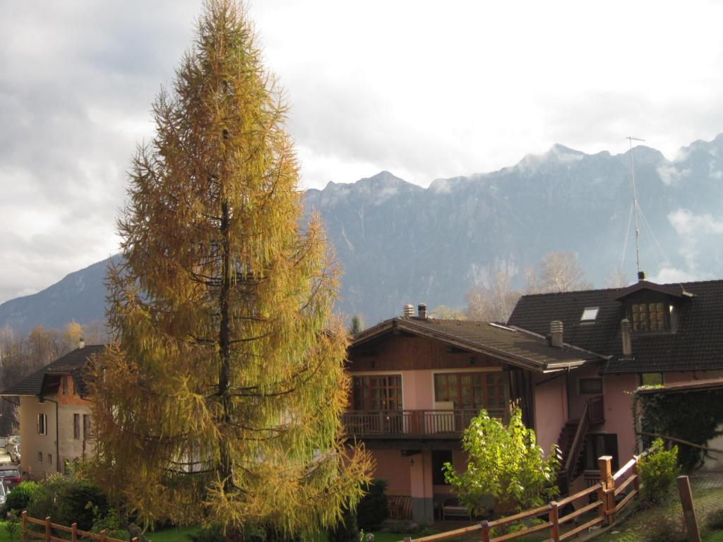 una casa e un pino di fronte a una montagna di B&B Al Larice a Strigno