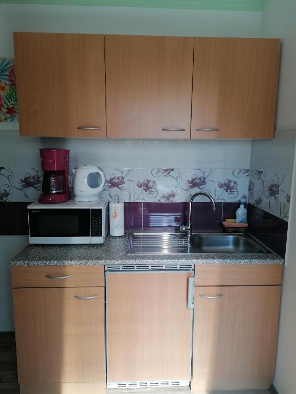 Kuchyň nebo kuchyňský kout v ubytování Rooms Katarina
