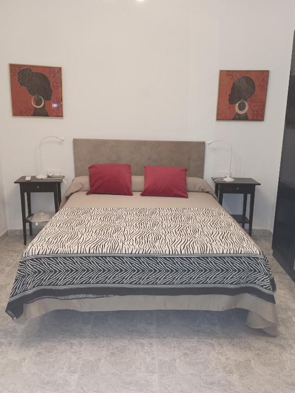 VACATIONAL HOMES South Organic - 14