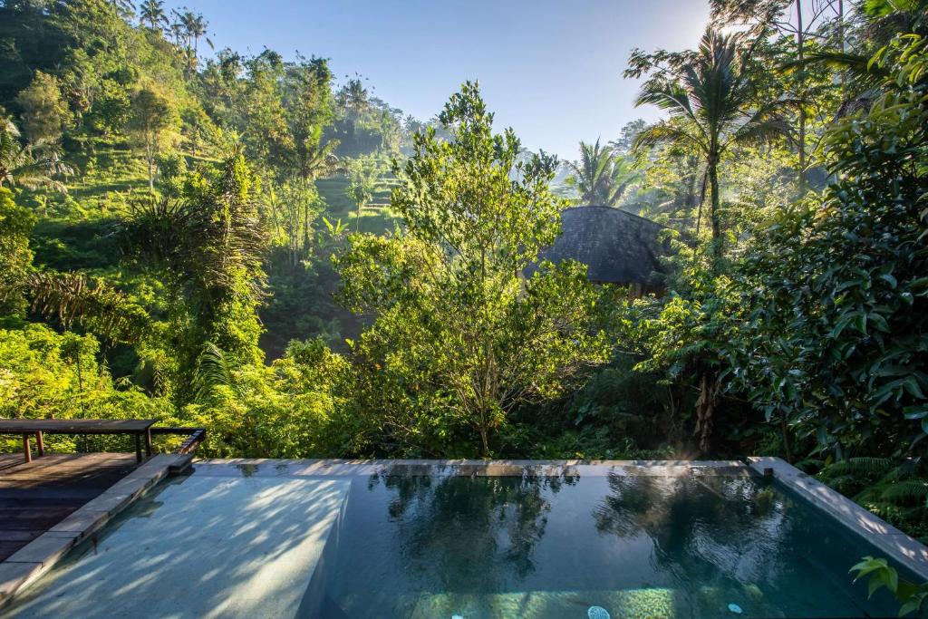 Buahan, a Banyan Tree Escape photo 5
