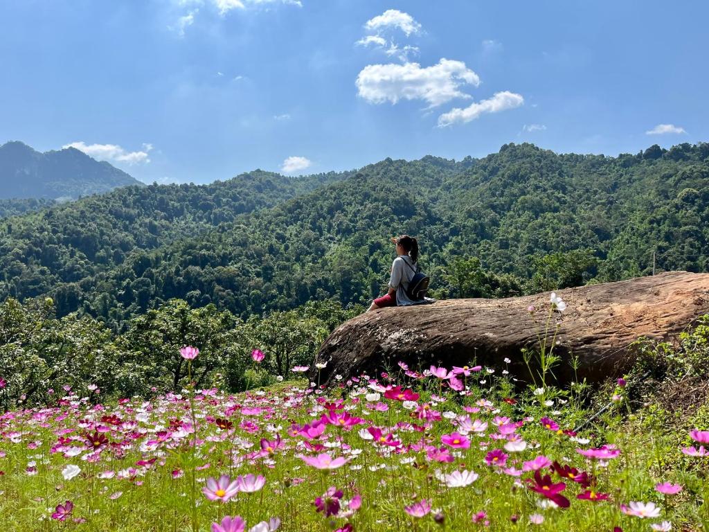 木州的住宿－Mường sang farmstay，坐在鲜花盛开的原木上的人