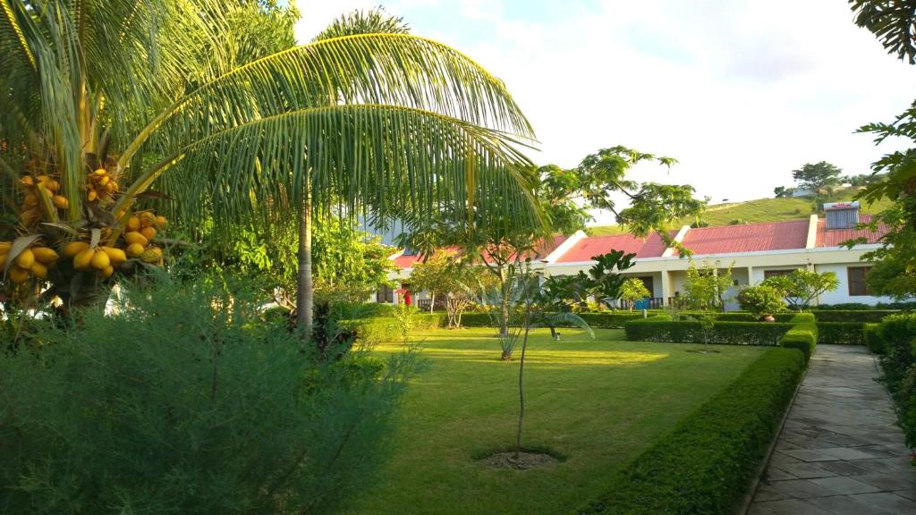 a palm tree in the middle of a yard at Malinamoc Paradise in Dili