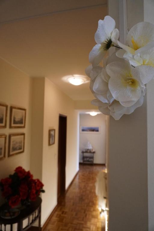 Fotografie z fotogalerie ubytování Jardim da Celeste v destinaci Viana do Castelo