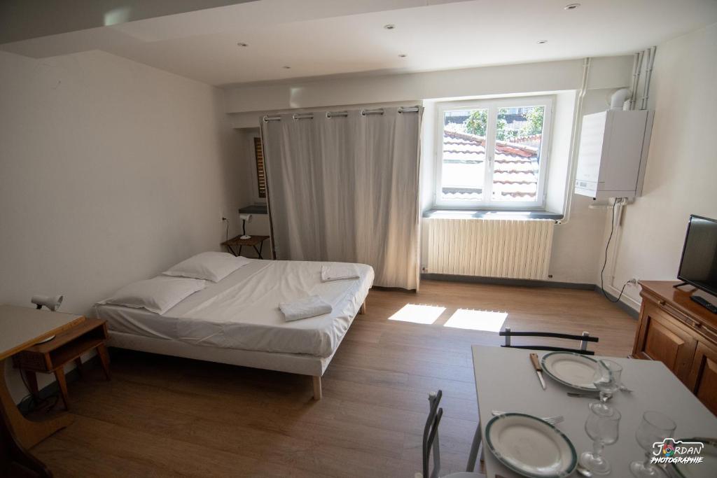 Hyper centre - wifi - cosy - Gare - Family Studio
