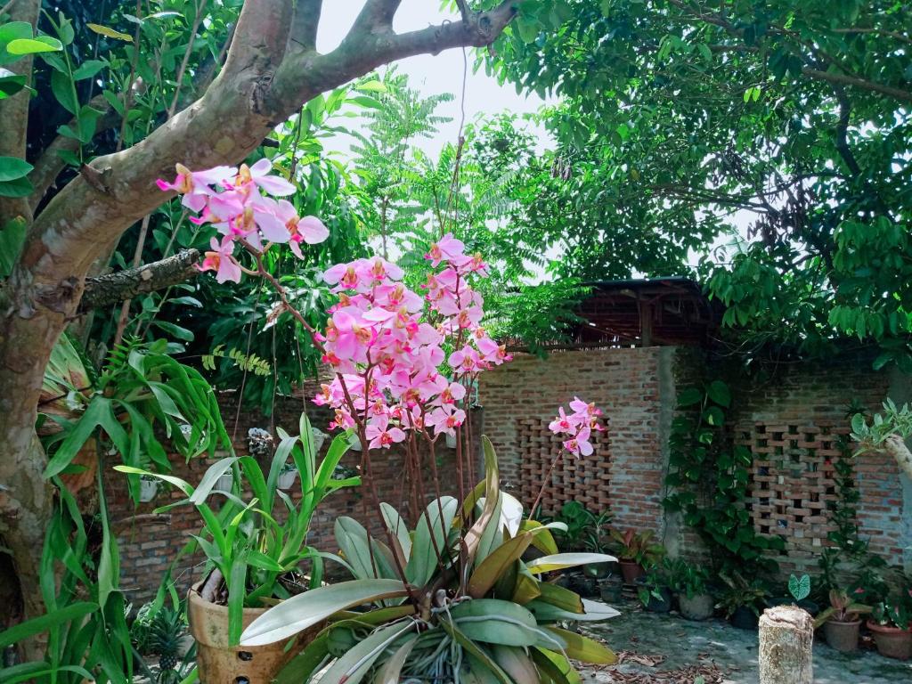 a garden with pink flowers and a brick wall at Bua Guest House in Medan