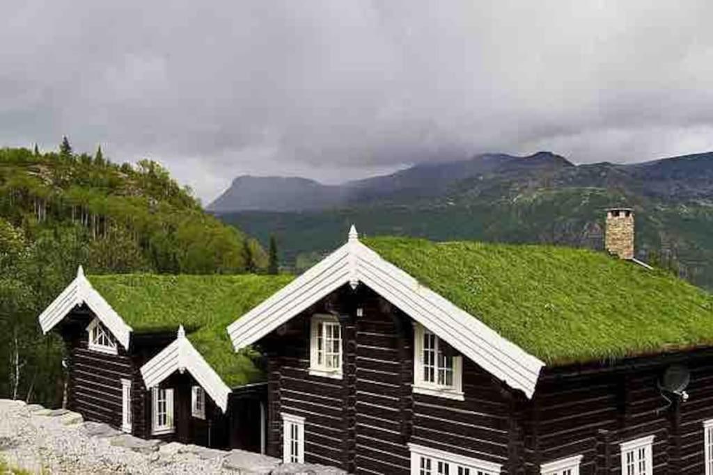 domek z bali i dachem z zielonej trawy w obiekcie Stor og eksklusiv tømmerhytte Hemsedal w mieście Grøndalen