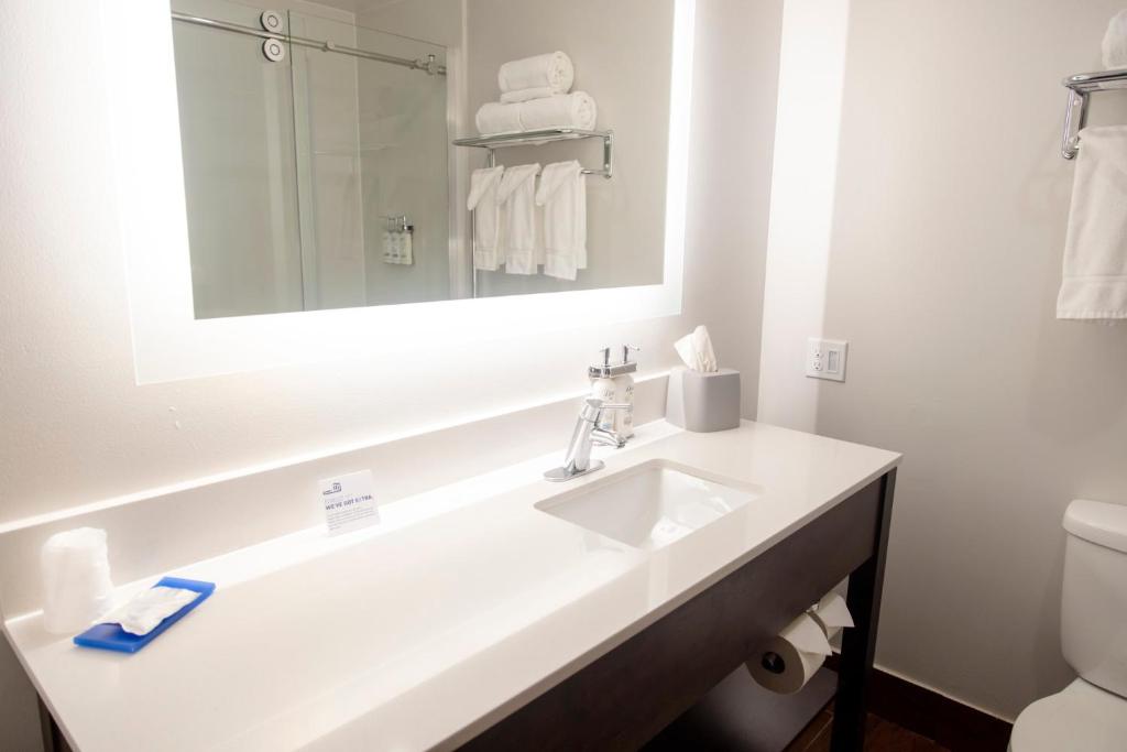 Holiday Inn Express Marshfield - Springfield Area by IHG - 标准特大号床间 - 带沙发床 - 禁烟