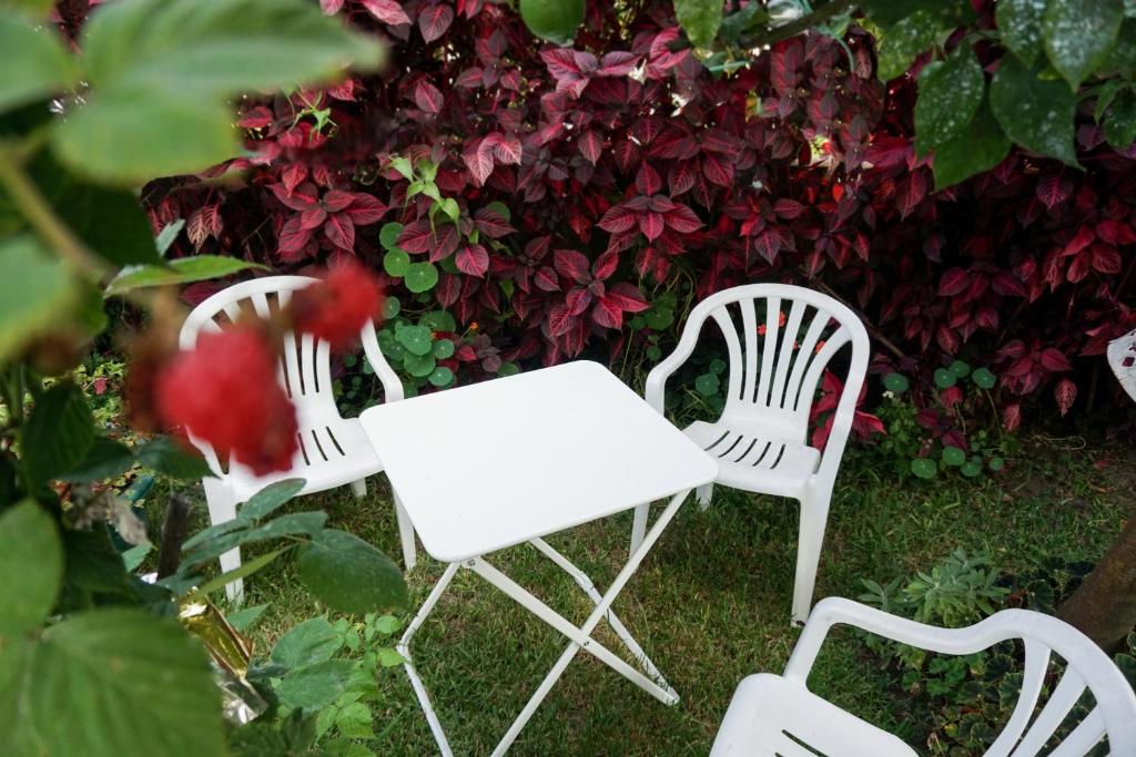 Zahrada ubytování Jardim da Celeste