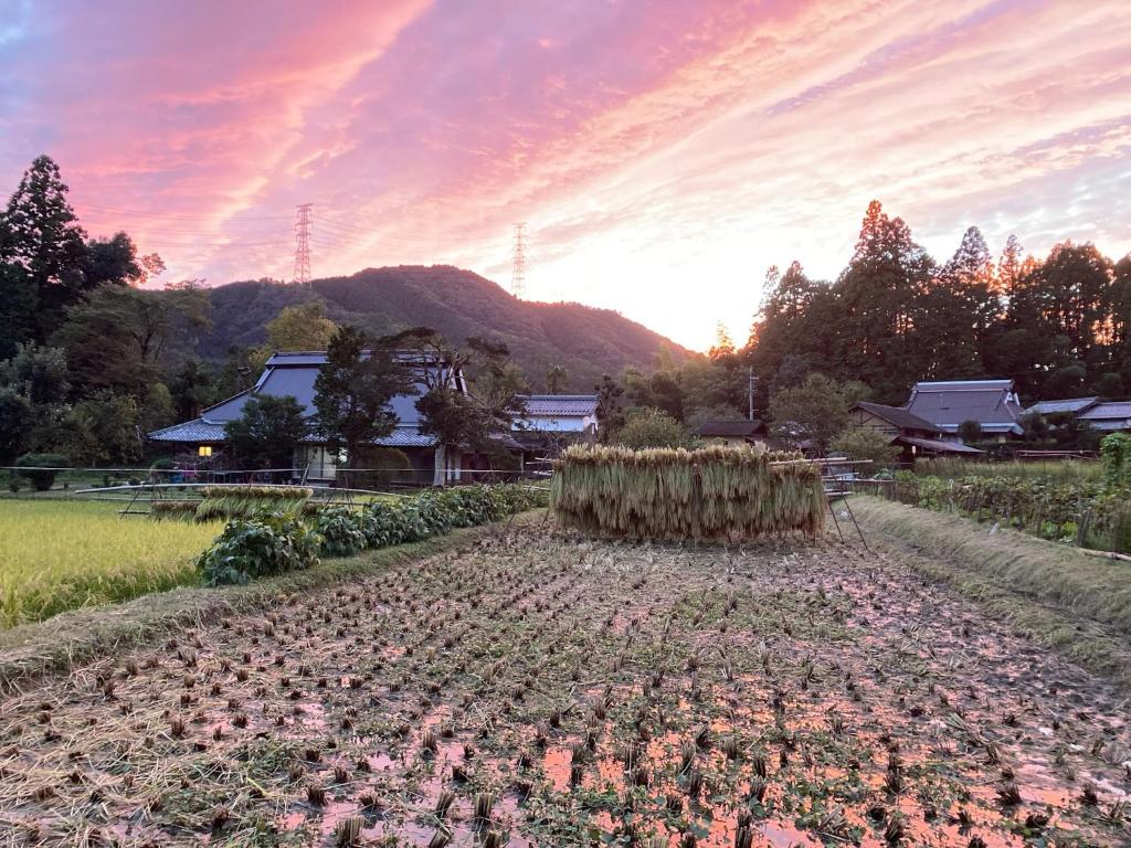 a field filled with lots of plants in a field at 一汁一菜の宿　ちゃぶダイニング Ichiju Issai no Yado Chabu Dining Unforgettable Farmstay experience in Deep Kyoto in Ayabe