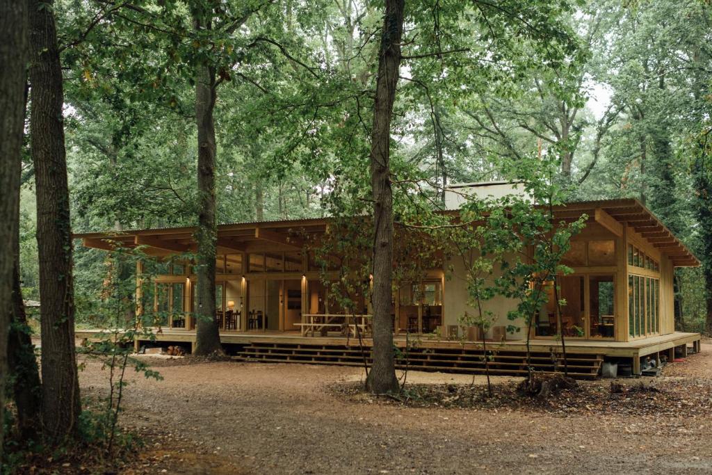 une maison au milieu de la forêt dans l'établissement Youza ecolodge, à La Couture-Boussey