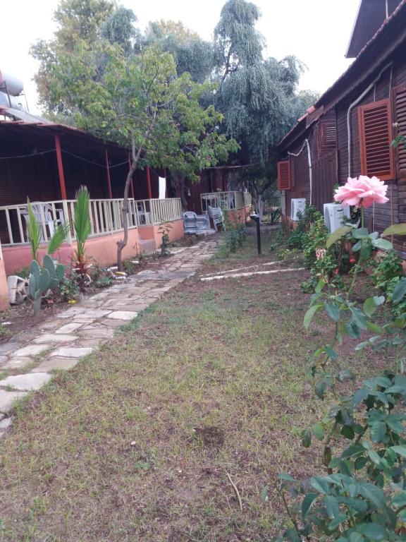 a backyard of a house with a walkway at Oll garden in Side