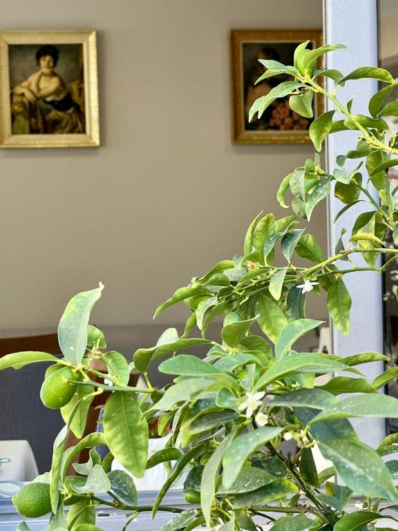 Ein Sitzbereich in der Unterkunft Hotel Mimani
