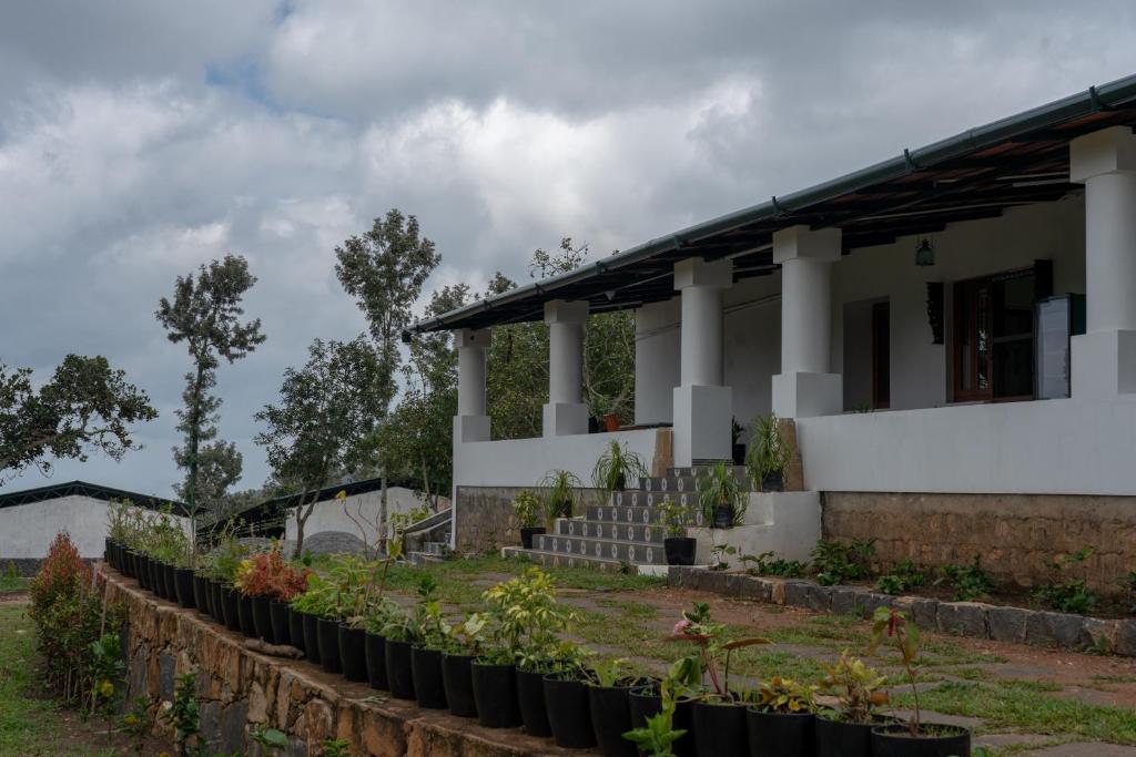 a house with a row of plants in front of it at The Inglewood Bungalow in Yercaud