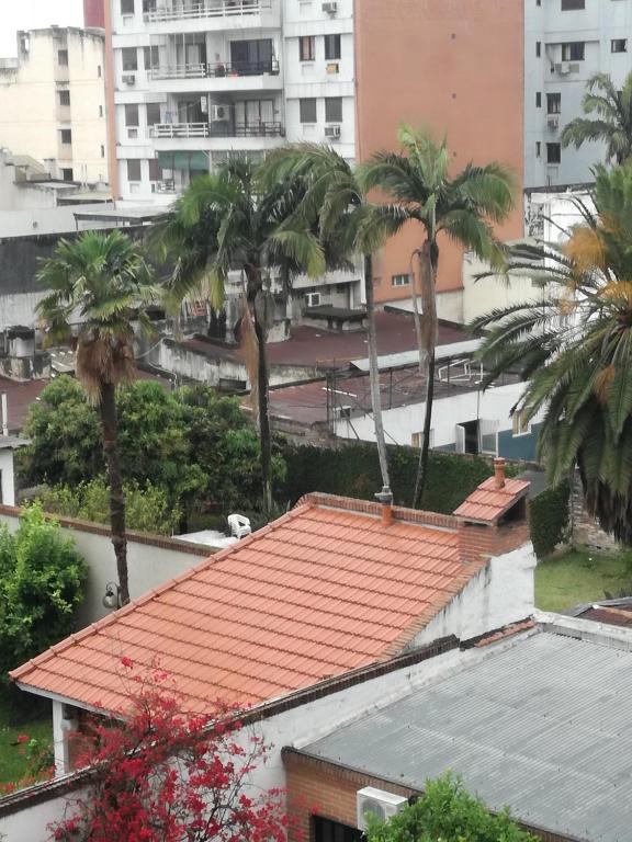 an overhead view of a roof with palm trees at EL MONO DE YUYI in San Miguel de Tucumán