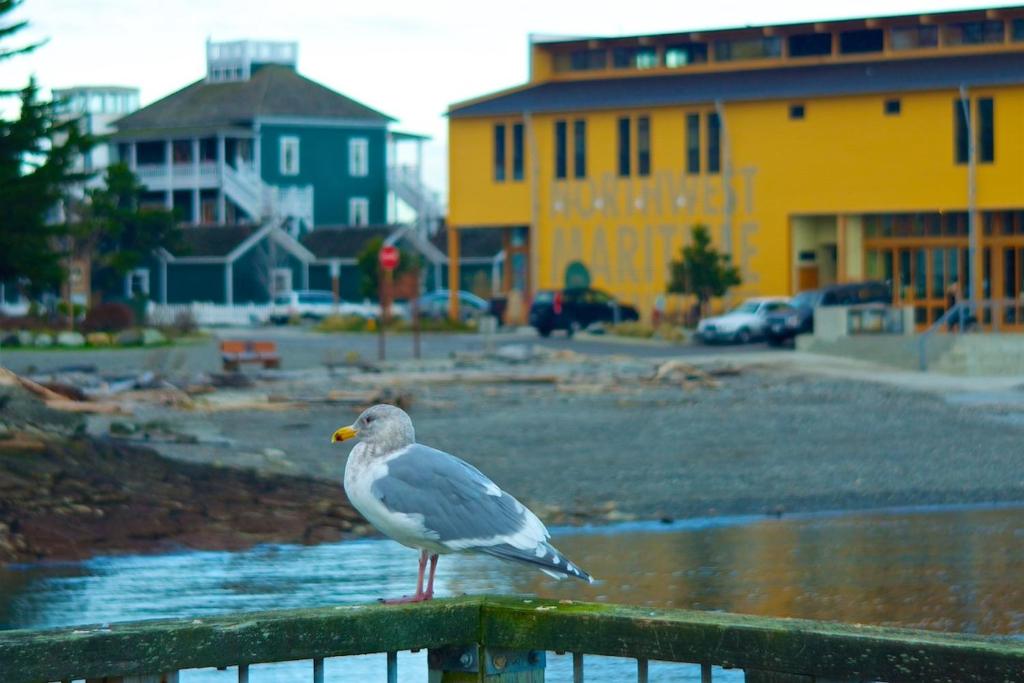Fotografie z fotogalerie ubytování The Swan Hotel v destinaci Port Townsend