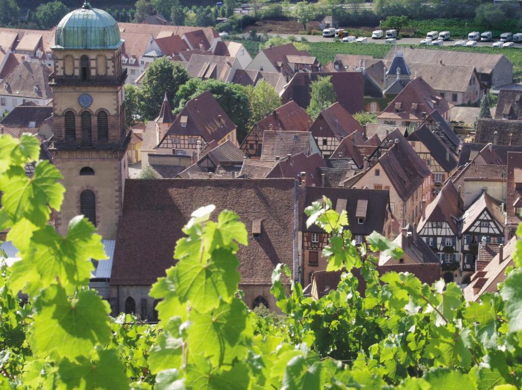 Nespecifikovaný výhled na destinaci Kaysersberg nebo výhled na město při pohledu z hotelu