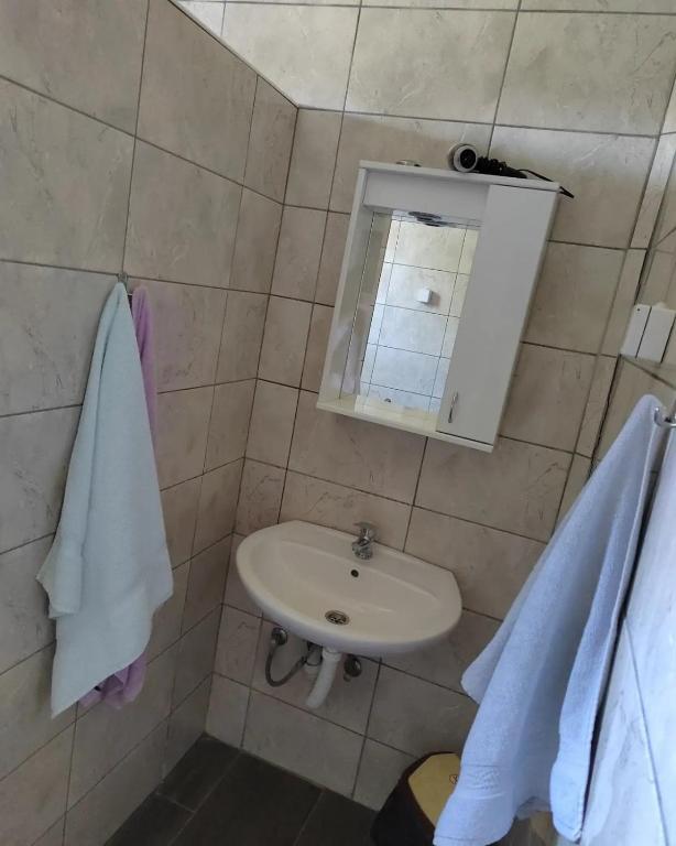 Koupelna v ubytování Apartmani Jela