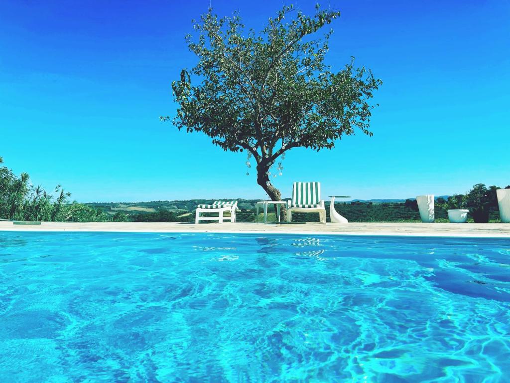 - une piscine avec deux chaises et un arbre dans l'établissement La Vigna di Ranco Agriturismo, à Paglieta