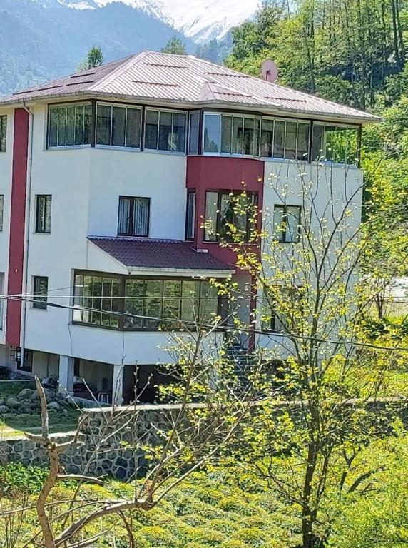 sulamanoğlu triplex