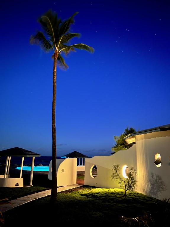 a palm tree in front of a house at night at OceanBlue Resort in Christ Church