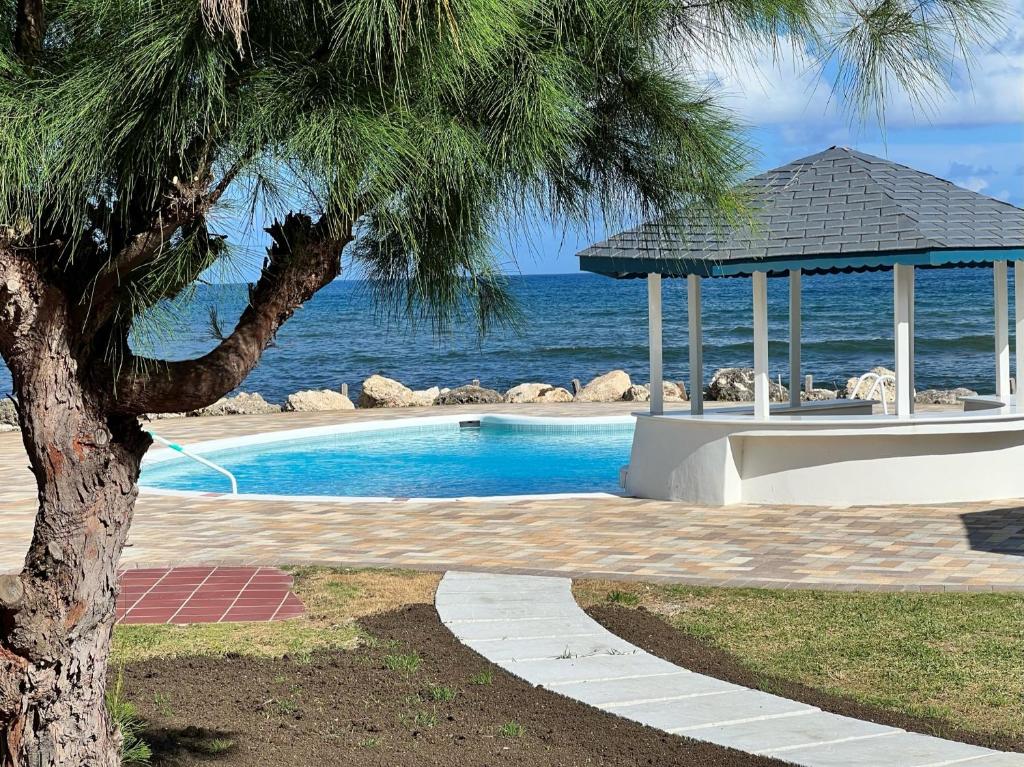 a swimming pool with a gazebo next to the ocean at OceanBlue Resort in Christ Church