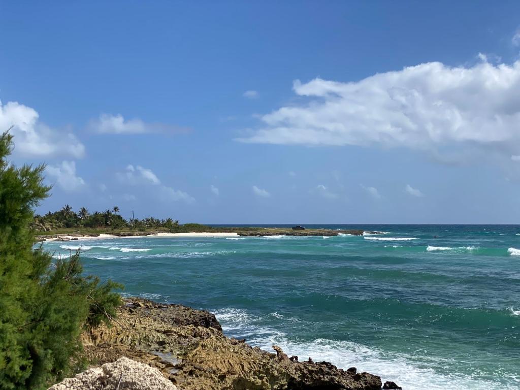 a view of the ocean from a rocky beach at OceanBlue Resort in Christ Church