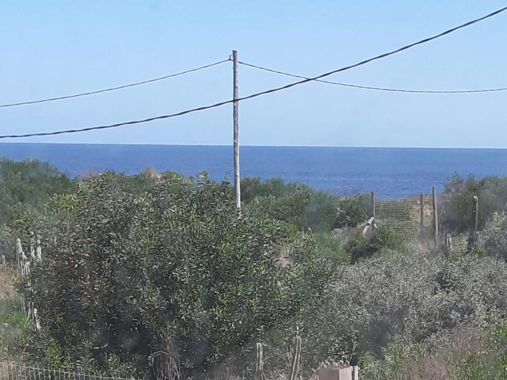 un poste de teléfono en la cima de una colina con árboles en Casa Domo Se Reserva con SEÑA UTE APARTE, en San Luis