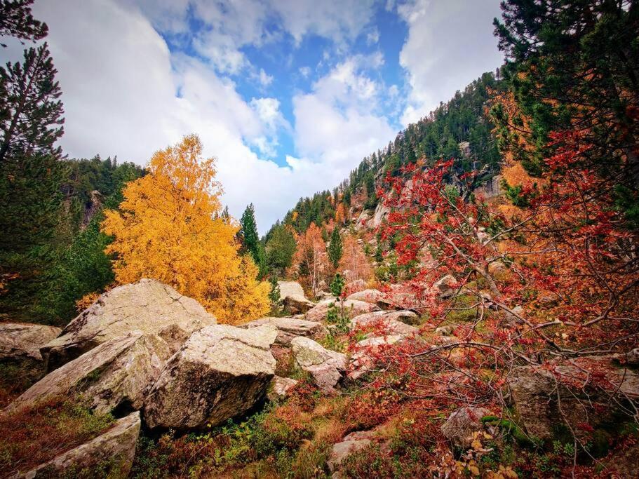 un bosque lleno de árboles coloridos y rocas en Logement 6 pers au cœur des montagnes pyrénéennes, en Boutx