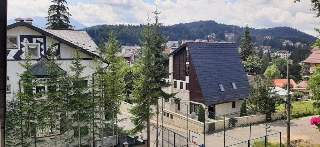 Nespecifikovaný výhled na hory nebo výhled na hory při pohledu z hotelu