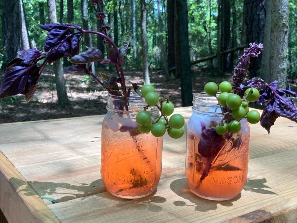 two mason jars filled with liquid and a bunch of grapes at Tentrr Signature Site - Herb'n Soul Sanctuary in Stone Mountain