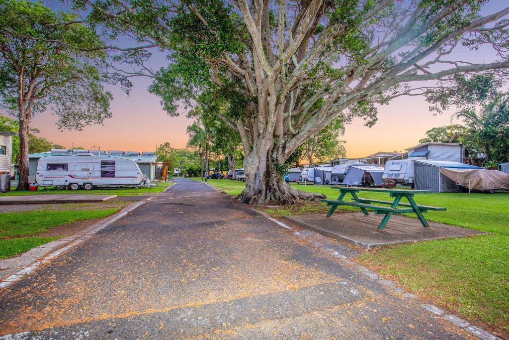 Best Dog Pet Friendly Caravan Parks Gold Coast Beach Holiday