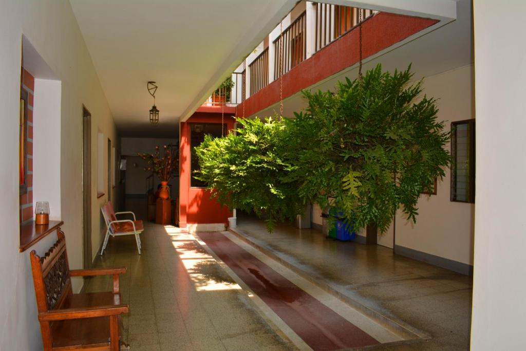 un couloir avec des plantes en pot dans un bâtiment dans l'établissement Hotel Tayrona, à Puerto Berrío