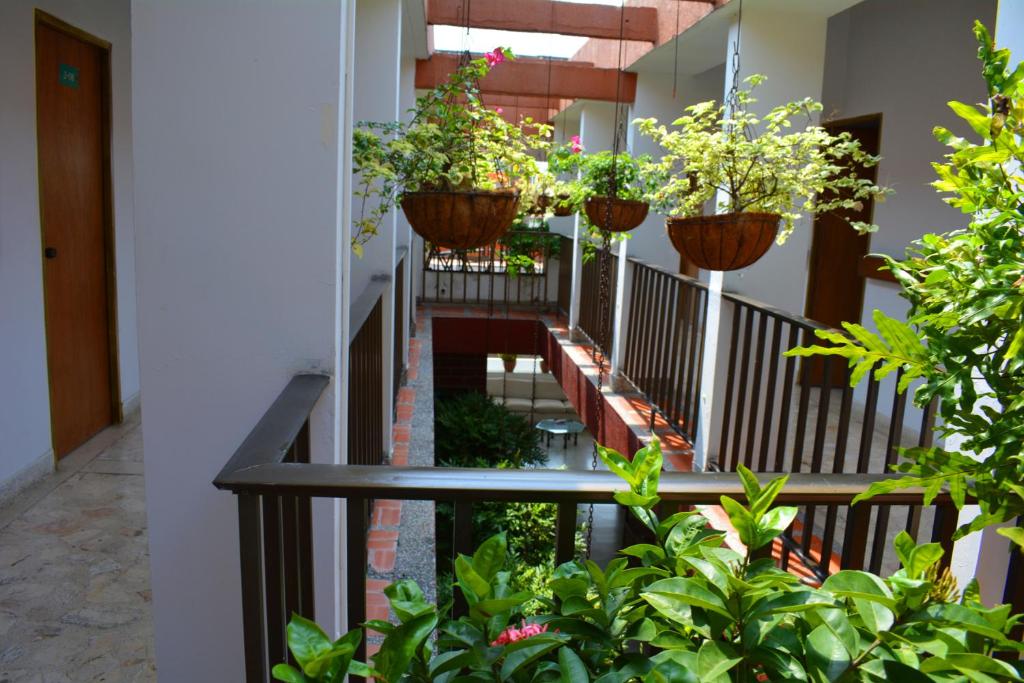 Balkón nebo terasa v ubytování Hotel Tayrona