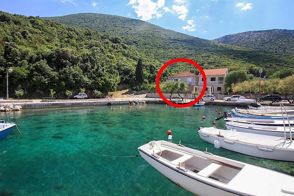 Příroda nedaleko apartmánu