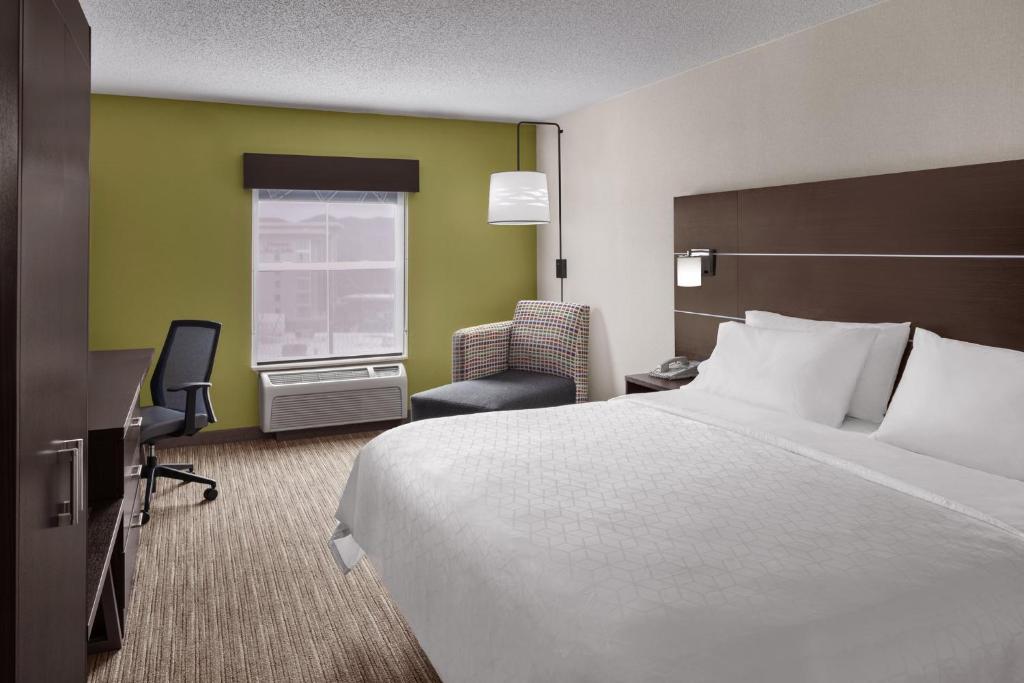 Holiday Inn Express & Suites Asheville SW - Outlet Ctr Area, an IHG Hotel - Salle Roi Standard