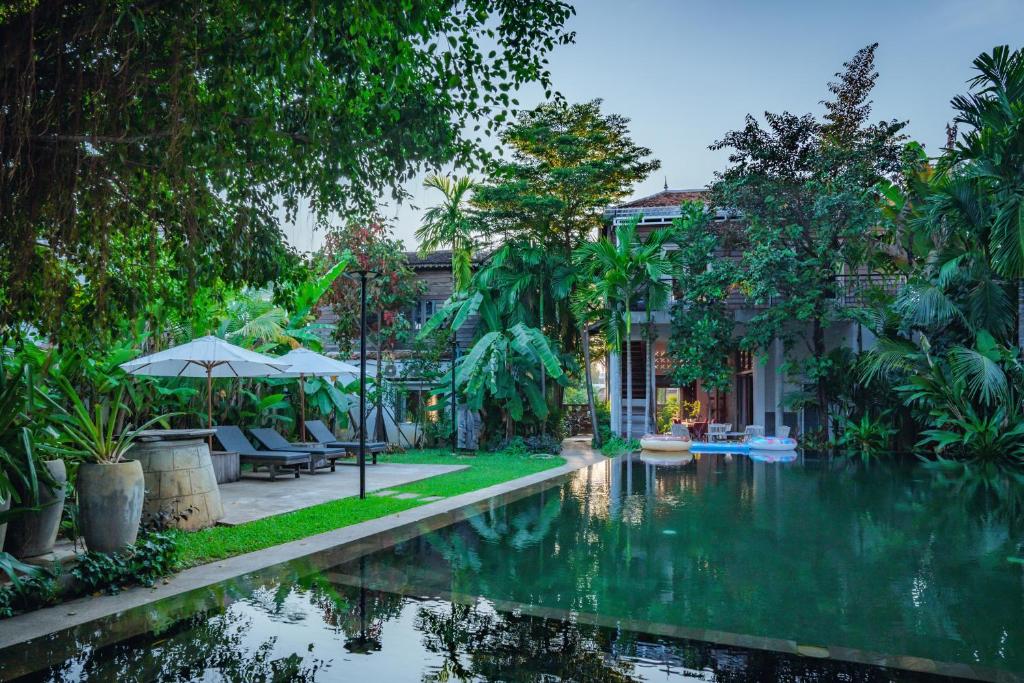 Κήπος έξω από το Casa Amor