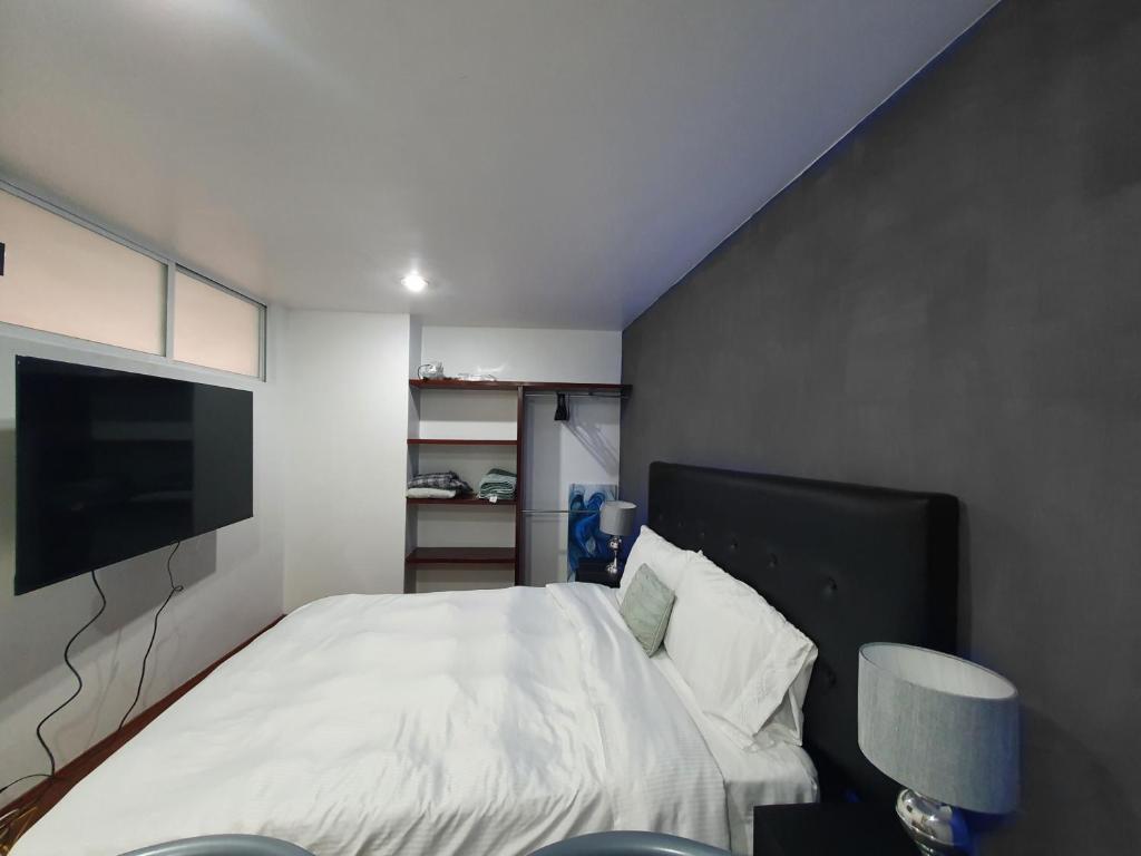 1 dormitorio con 1 cama y TV de pantalla plana en Super Suite con baño y cocina excelente ubicación, en Ciudad de México