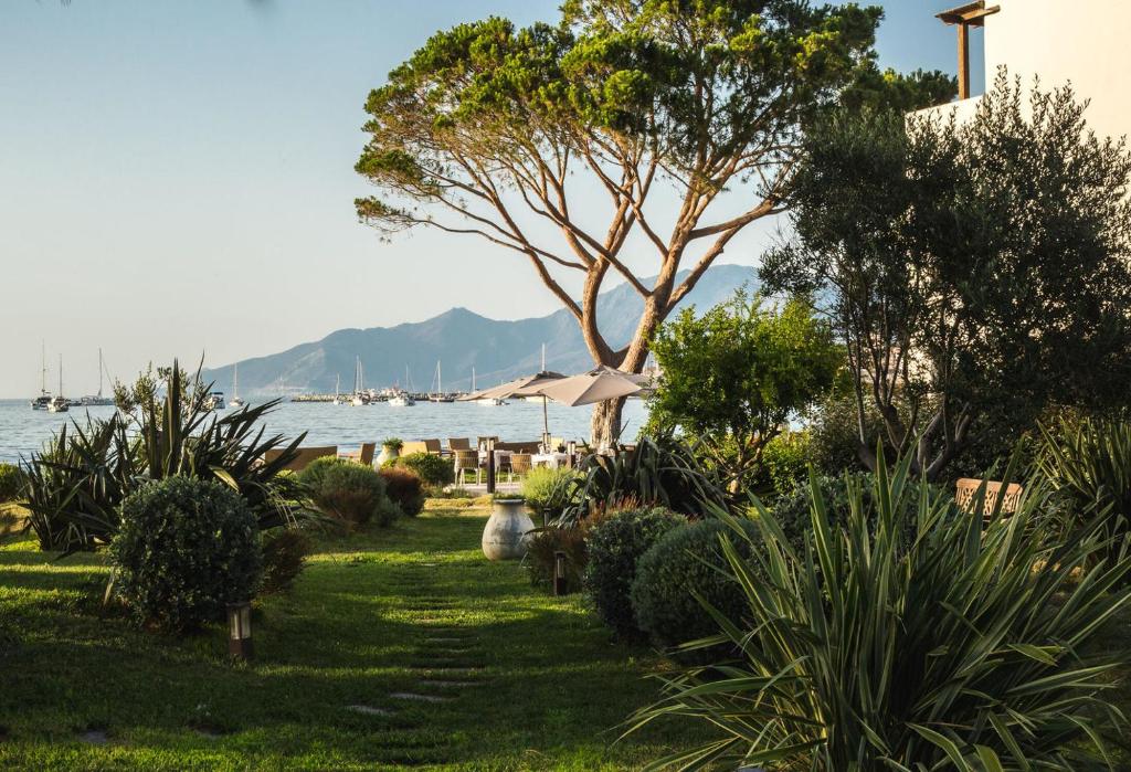a garden with a tree and a view of the water at Hôtel La Roya in Saint-Florent